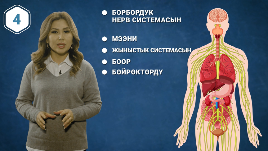 Баңги заттары