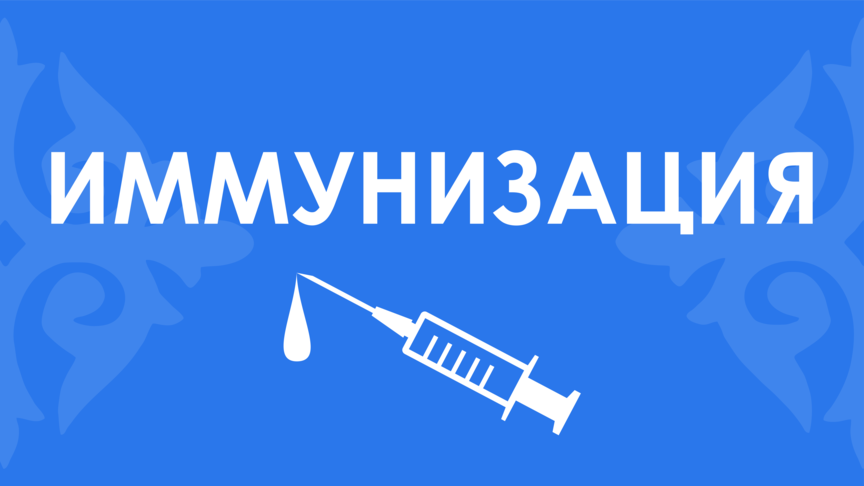 Иммунизация