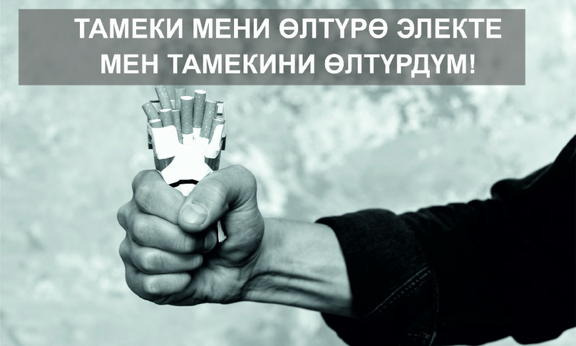 Суроо: Мурда тамеки тарткандардын өпкөсү тазарабы?